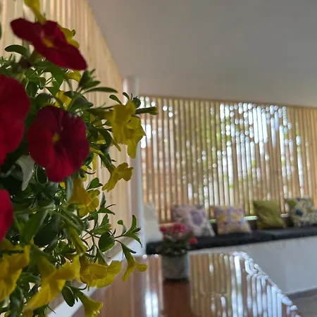 Гостевой дом Laura *