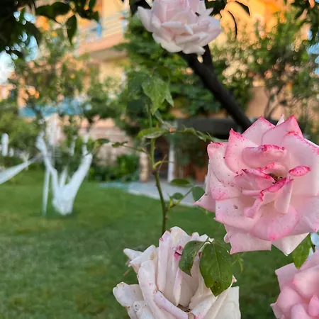 Laura * Ксамил